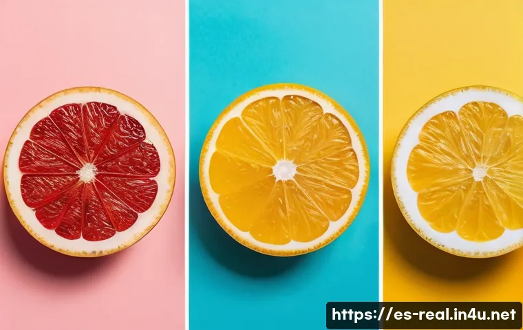 Domina el examen de agente inmobiliario: los trucos que te garantizan el éxito 3 공인중개사 시험 준비의 효율적인 방법 관련 이미지 1